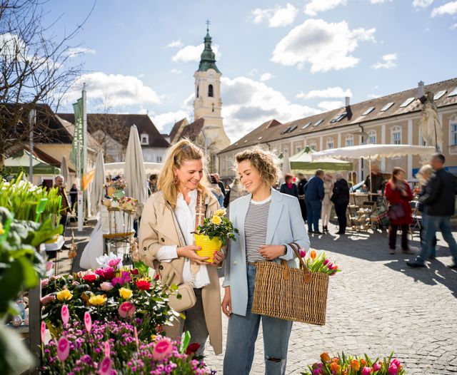 Kostbares Kamptal 2026: Termine, Wein, Kulinarik, Winzer und die Weinregion Kamptal